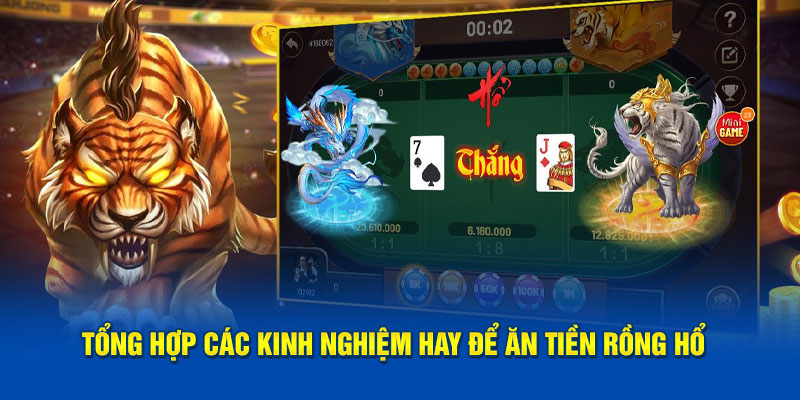 Tổng hợp các kinh nghiệm hay để ăn tiền Rồng Hổ