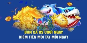 Bet thủ thực hiện đúng luật lệ nhà cái xây dựng