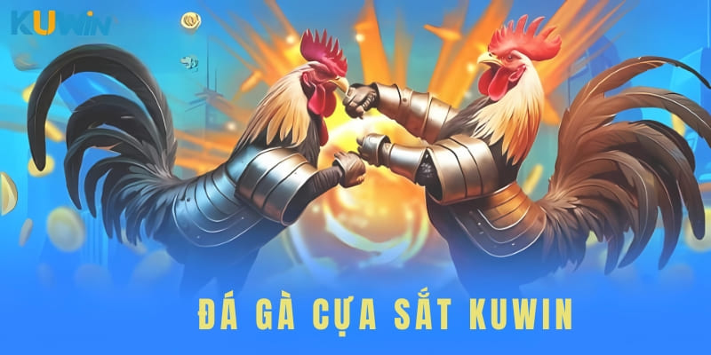 Đá Gà Cựa Sắt Kuwin